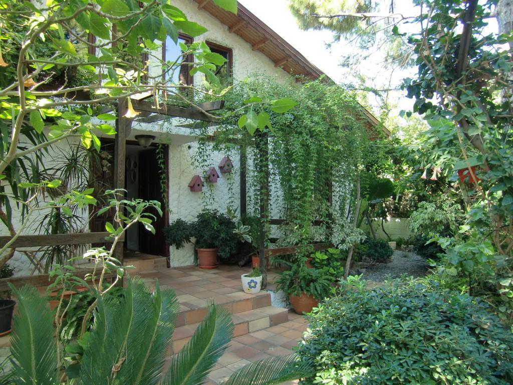 Hotel Happy Caretta Далян Екстериор снимка